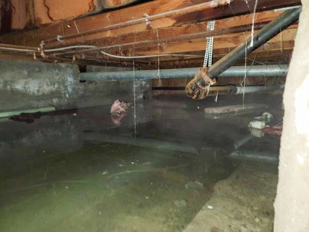 Best Water damage restoration services  in Fairfield Harbour, NC