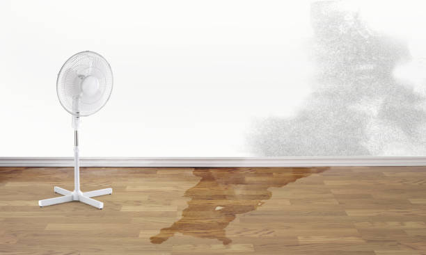 Best Water damage restoration near me  in Fairfield Harbour, NC