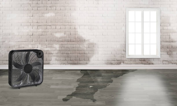 Best Flood restoration services  in Fairfield Harbour, NC