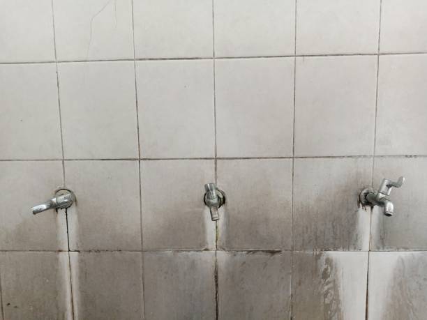 Best Commercial water damage restoration  in Fairfield Harbour, NC