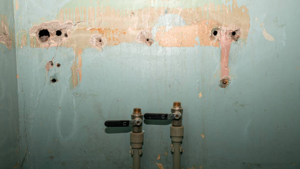 Best Water damage cleanup near me  in Fairfield Harbour, NC