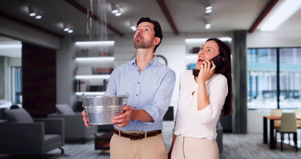 Best Local water damage restoration  in Fairfield Harbour, NC