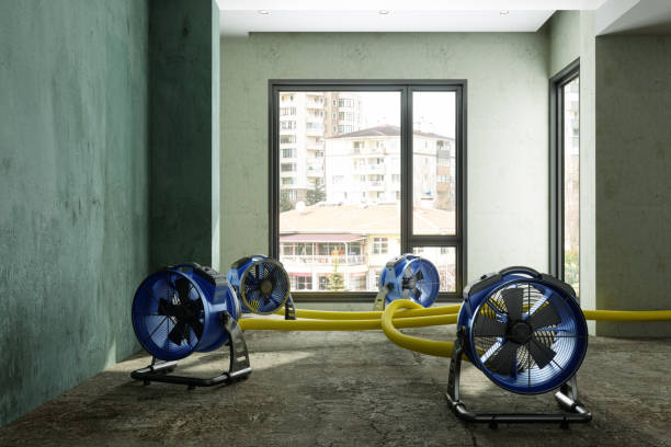 Best Ceiling water damage repair  in Fairfield Harbour, NC